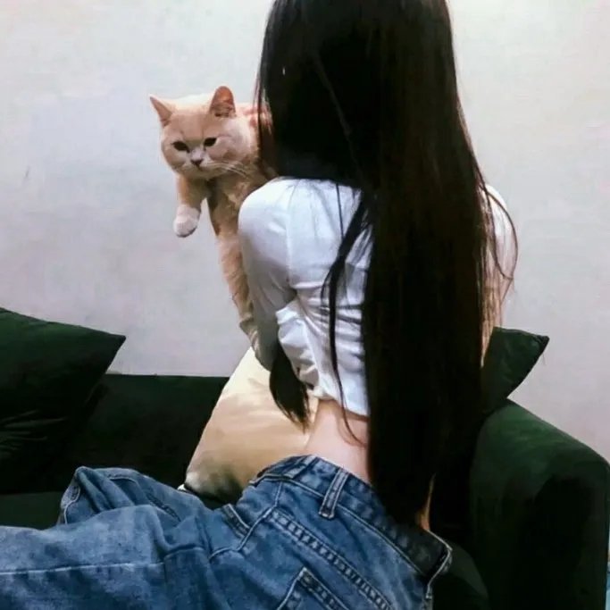 婚前救急